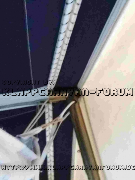 IMG-20201007-WA0003