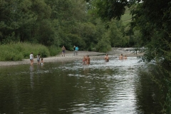 Nahe am Sommer 2011 - Monzingen - Bad in der Nahe - Richtung Wehr unterwegs