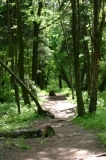 Dransfeld2012 (71)