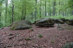 Altarsteine im Wald beim CP