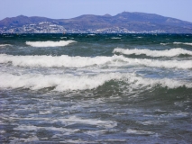La Ballena Alegre