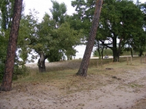 Campingplatz Seecamp Malge in Brandenburg